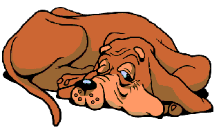 dodo