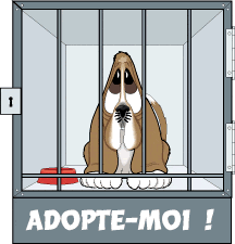 pitiée adoptez-le